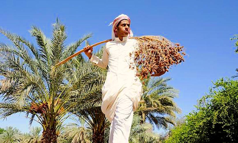 Сельское хозяйство саудовской аравии
