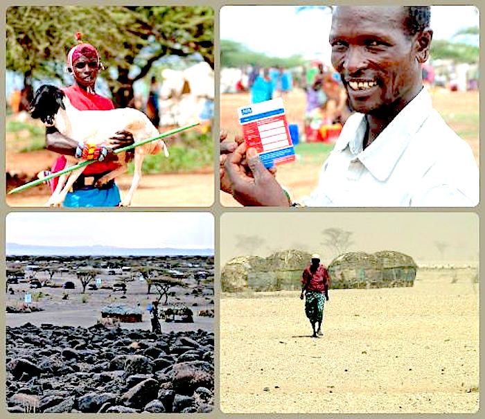Scenes of IBLI work in northern Kenya (photo credit: ILRI). After almost five years of implementing Index-based Livestock Insurance (IBLI) across northern Kenya, ILRI’ is delighted to partner the Government of Kenya and the World Bank in a new government scheme to scale up pastoral livestock insurance against drought. - https://ilriclippings.files.wordpress.com/2015/08/collageibliinnorthernkenya.jpg?w=500&h=432