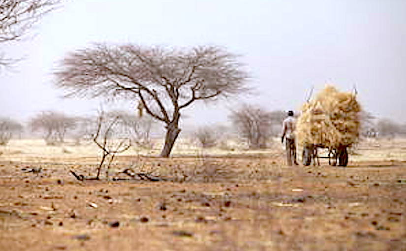 Restoration needs along Africa’s drylands have been mapped and quantified