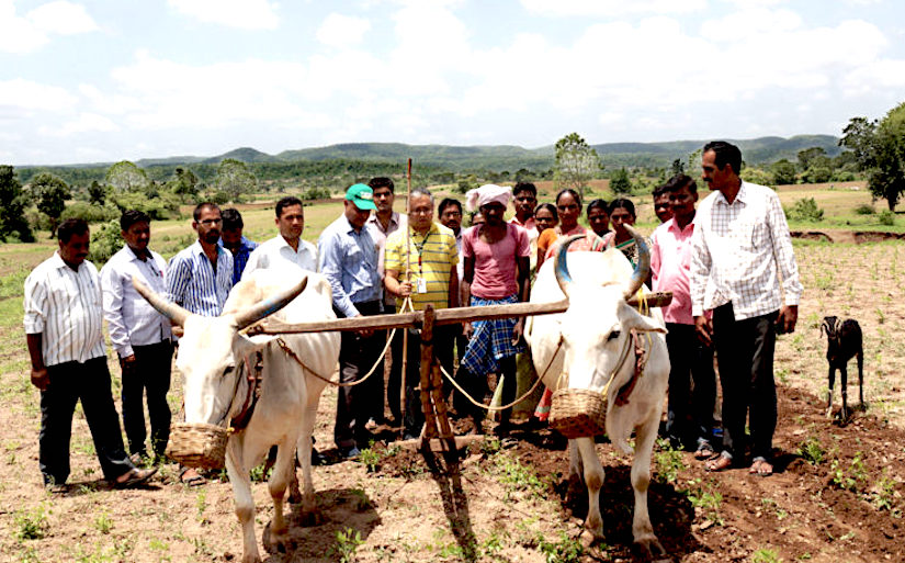 Enabling farmers to enhance their incomes.